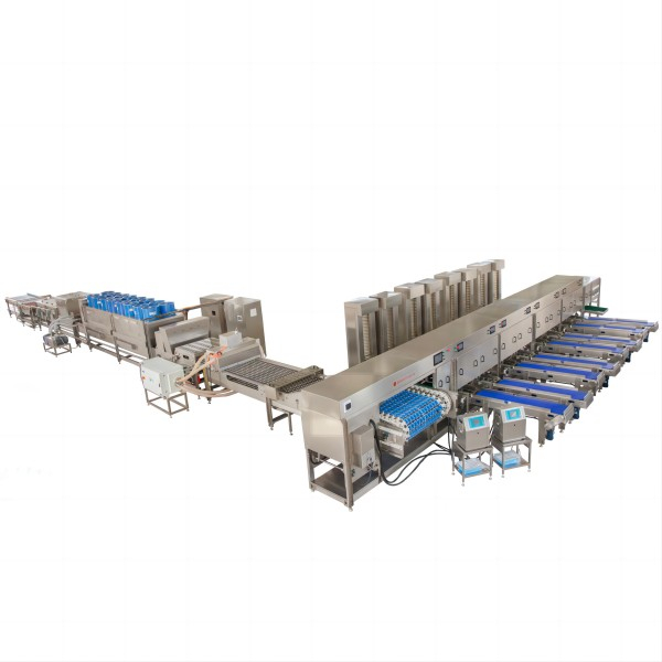 HC-60000 pieces graded packaging