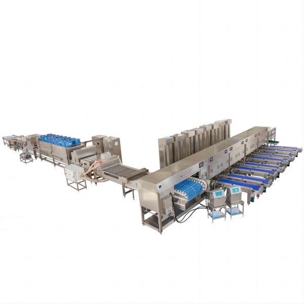 HC-60000 pieces graded packaging